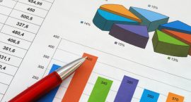 Budget Purchasing Budget/Purchasing