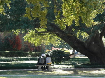 College-Town A College Town