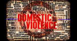 Domestic Violence Unit Domestic Violence Unit