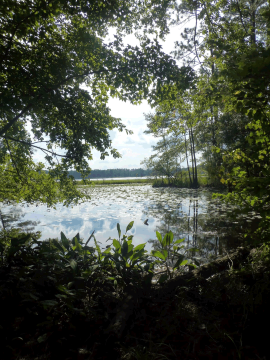 Park 2 2013 Quality Water Report