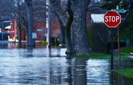 flood-safety_456px Red Cross Flood Safety Checklist