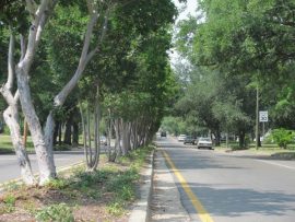 Storm Water Management Storm Water Management