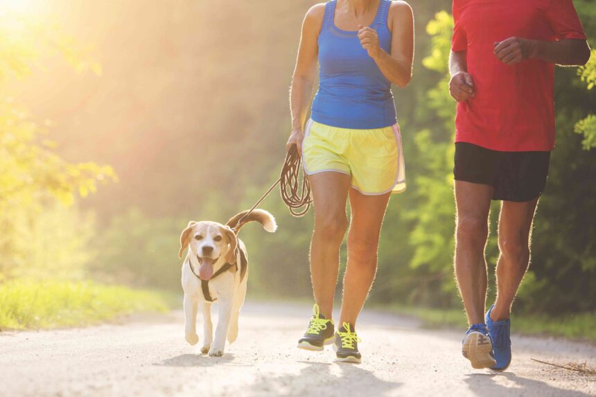 Dog Days 5K run and 2mile walk FestivalSouth benefitting Hub City Service Dogs City of