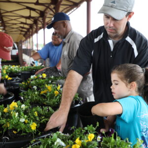 Hattiesburg Issues Call for Make a Difference Day