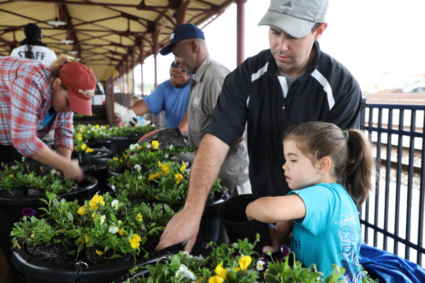 Hattiesburg Issues Call for Make a Difference Day