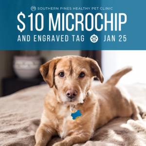 $10 Microchip Special