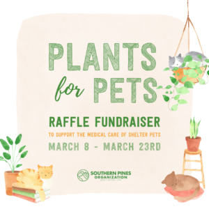 Plants for Pets Raffle