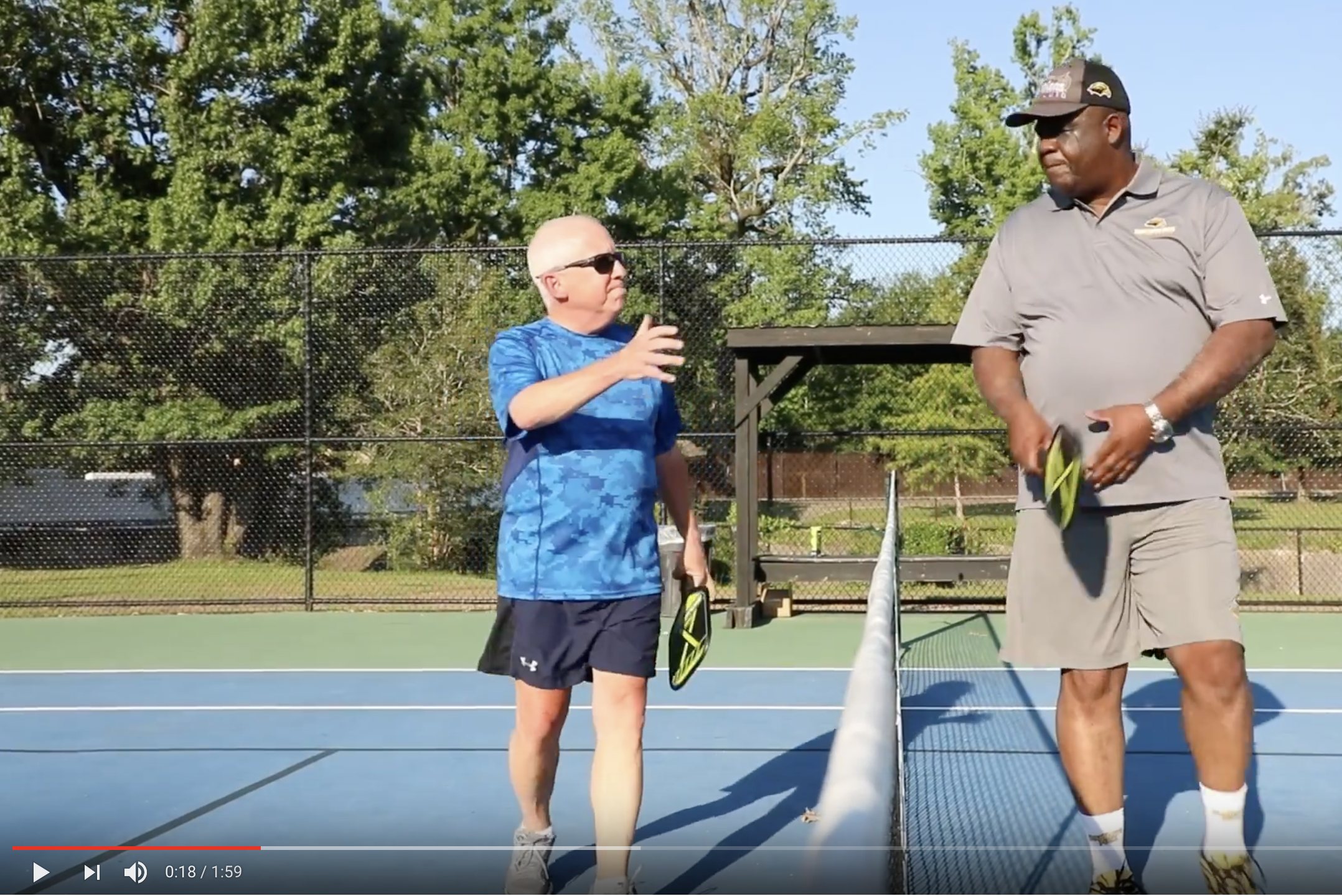 The Art of Pickleball