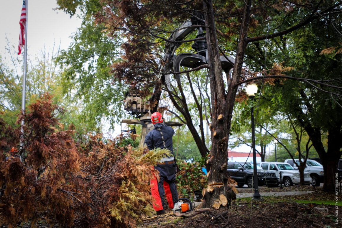 Hattiesburg Crews Safely Remove Dying Tree at Town Square Park City