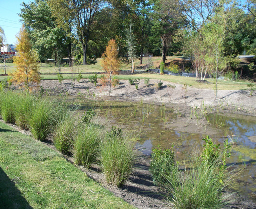 veterans_park_stormwater520w